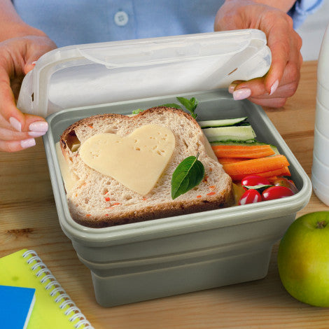 Collapsible Lunch Box (SHL-08T)