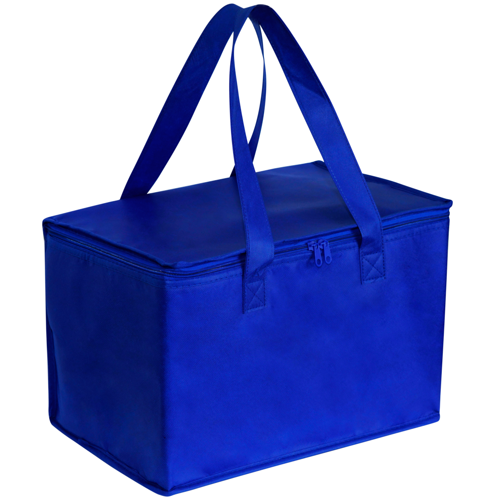 Stock NWPP Jumbo Cooler Bag(SNB-122G)