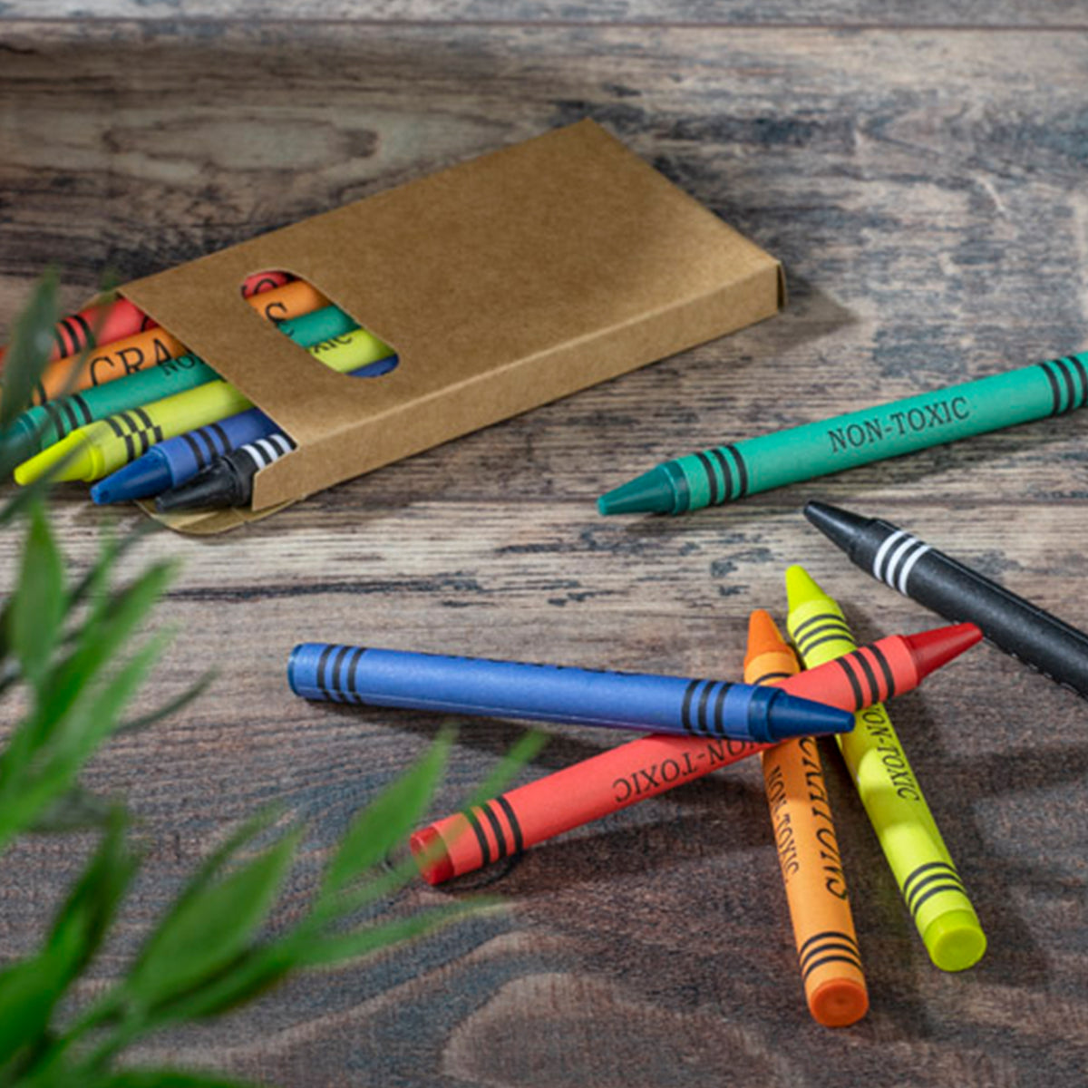 6 Colours Crayon Set (SP-105D)