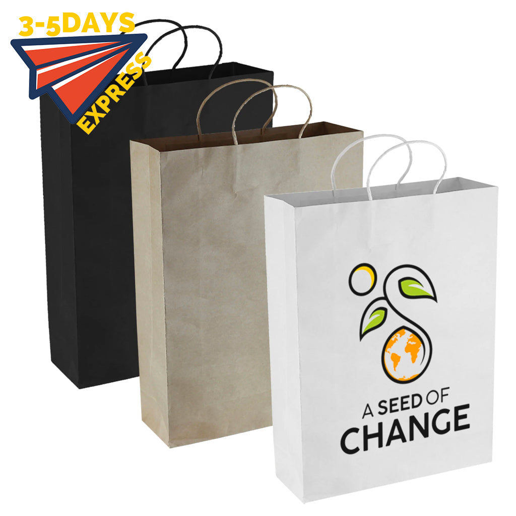 Stock Kraft Paper Shopping Bag(SKP-01D)