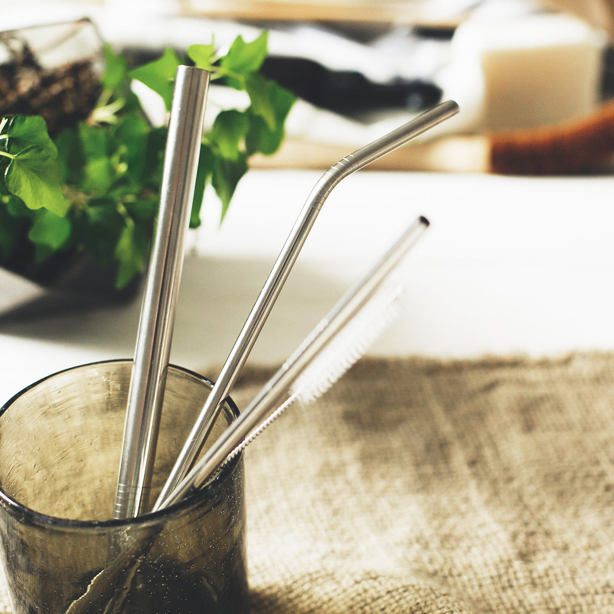 Reusable Stainless Steel Straw Set(SDW-131T)