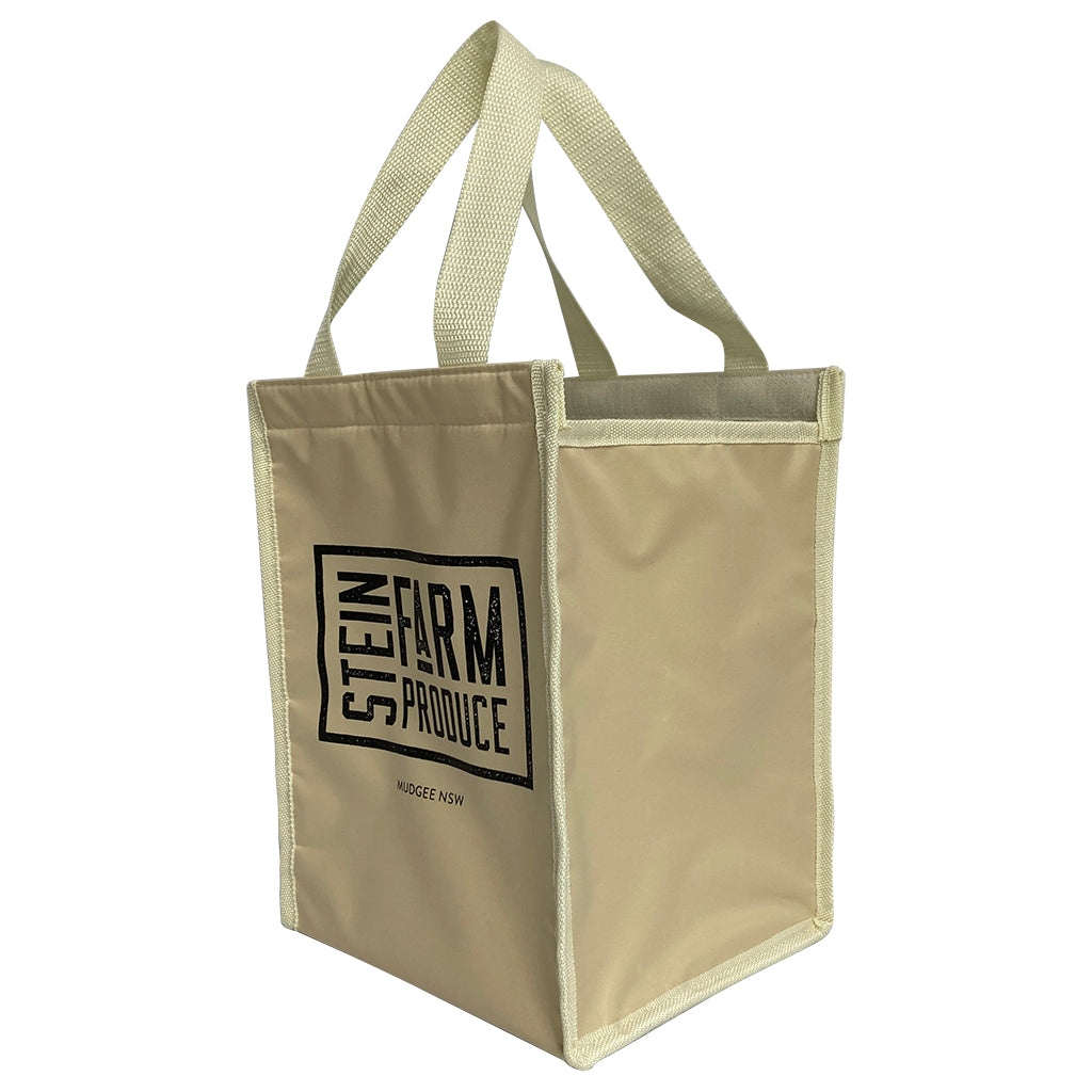 Nylon Small Cooler Bag(NY-19)