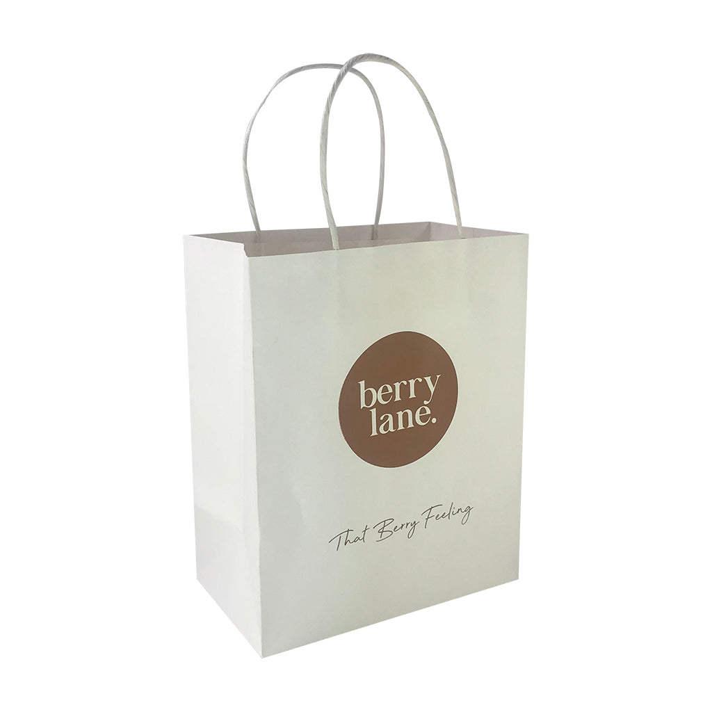 Stock Kraft Paper Carry Bag-Medium(SKP-06T)