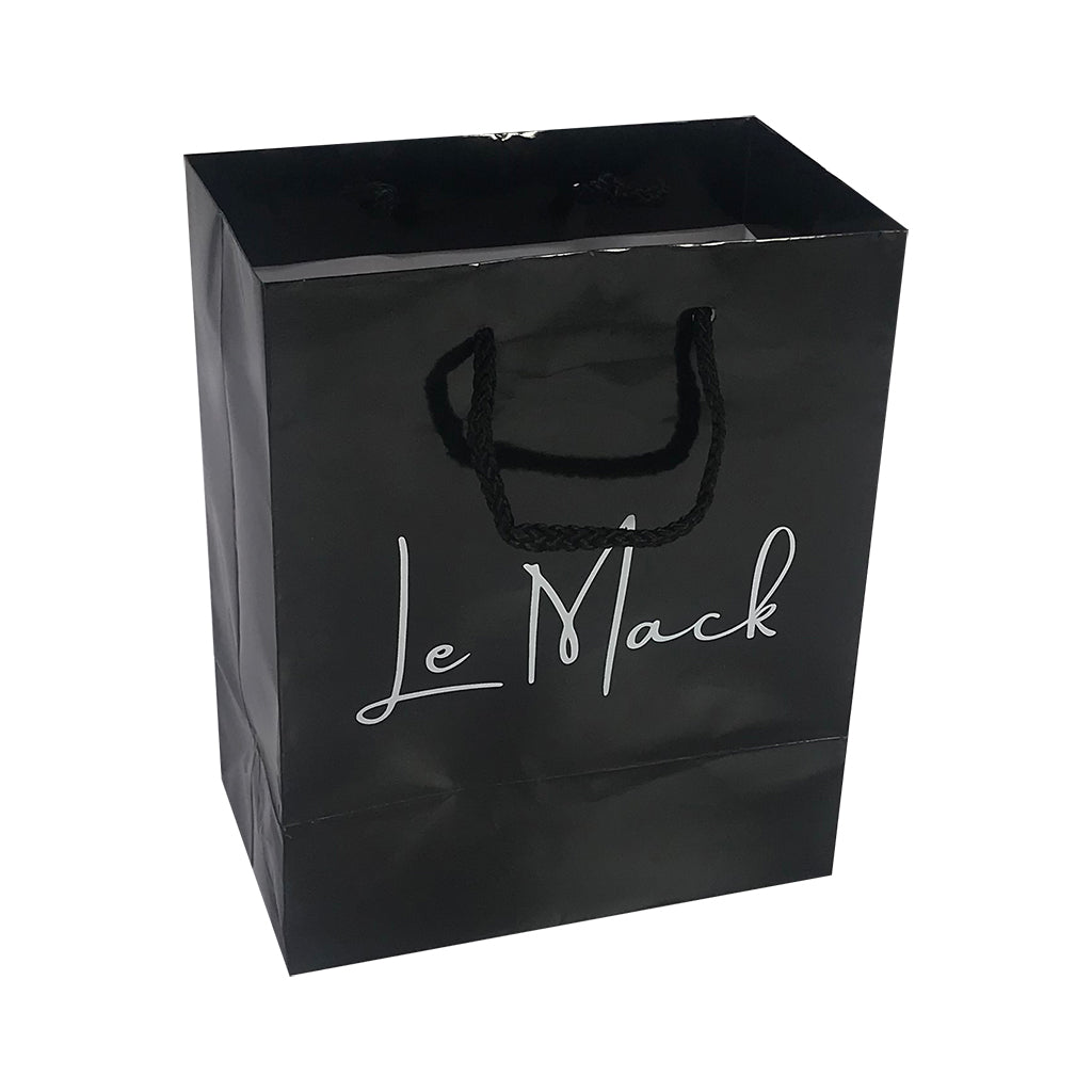 Stock Laminated Paper Carry Bag-Large(SLP-04T)