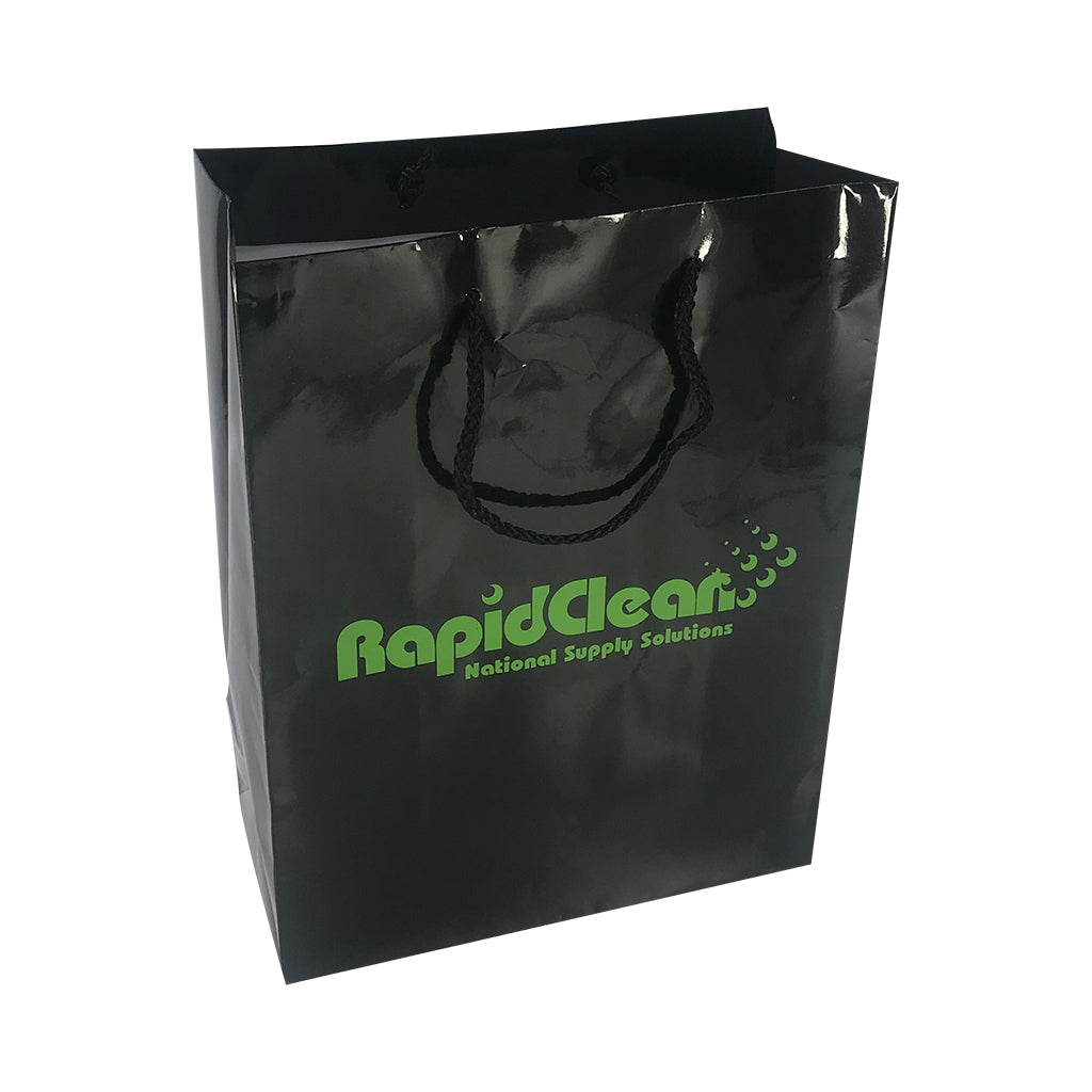Stock Laminated Paper Carry Bag-Large(SLP-04T)