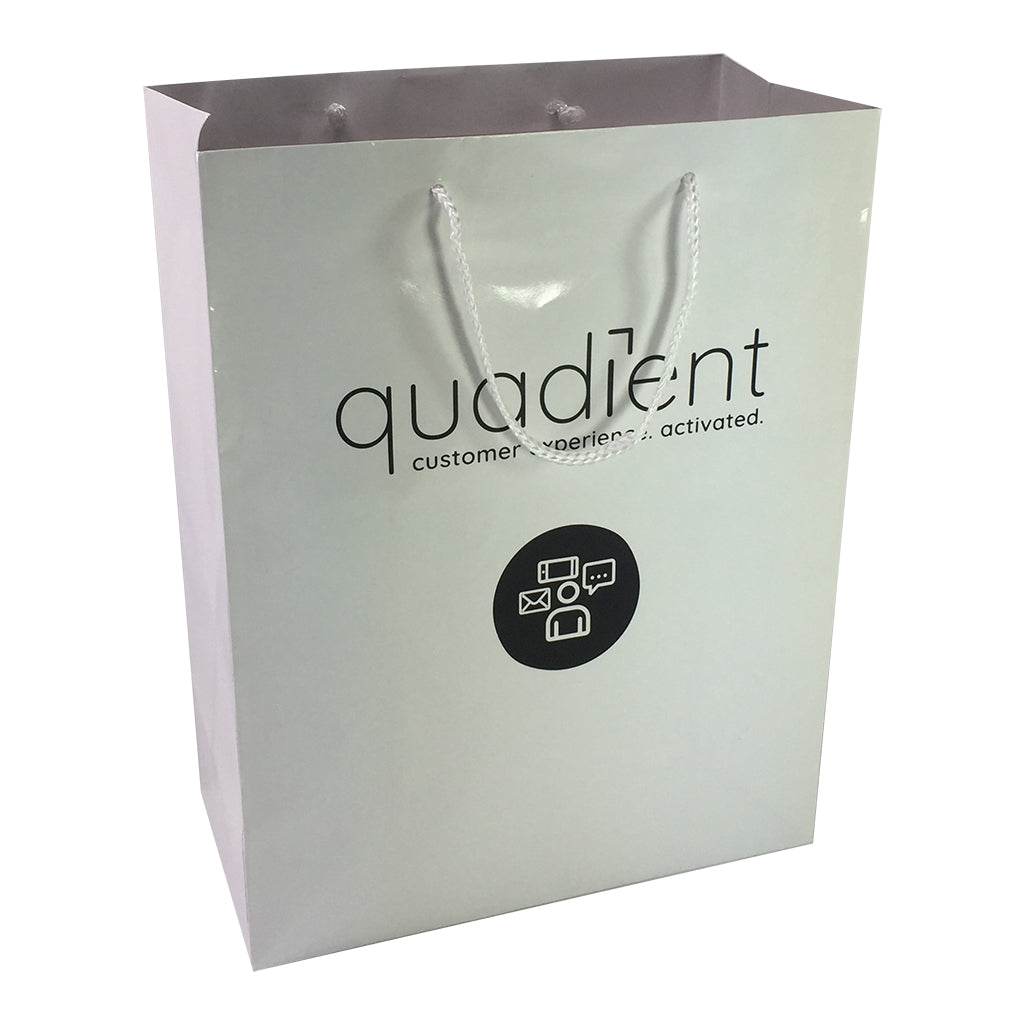 Stock Laminated Paper Carry Bag-Large(SLP-04T) - greenpac.com.au