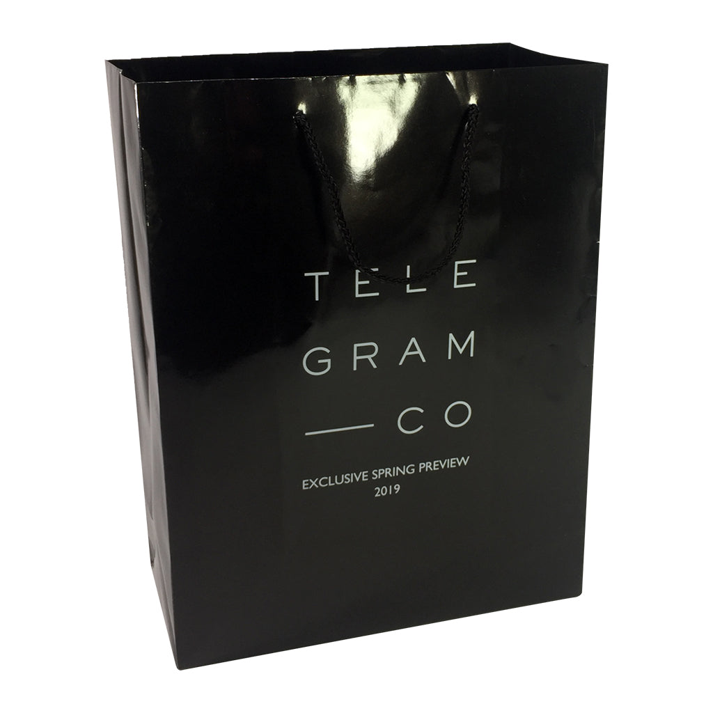 Stock Laminated Paper Carry Bag-Large(SLP-04T) - greenpac.com.au