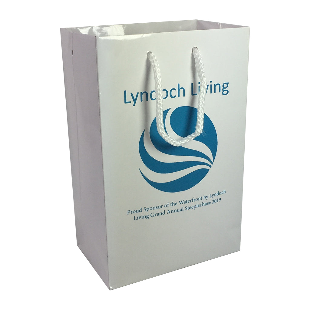 Stock Laminated Paper Carry Bag-Small(SLP-02T) - greenpac.com.au