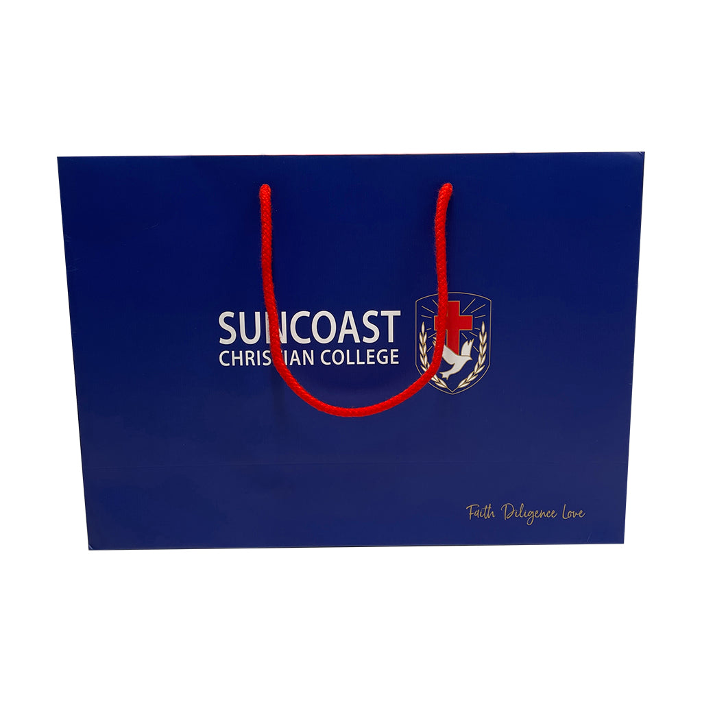 Paper Landscape Gift Bag-Medium(LP-07)