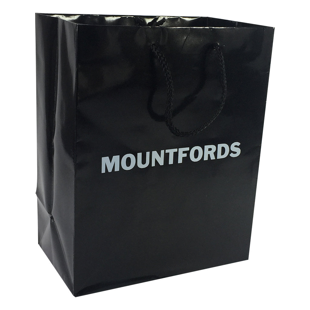 Stock Laminated Paper Carry Bag-Medium(SLP-03T)