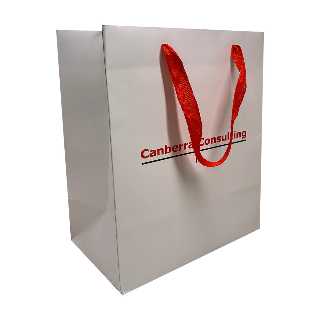 Paper Portrait Document Bag-Small(LP-05)