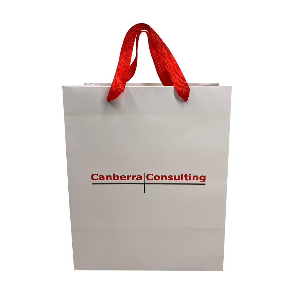 Paper Portrait Document Bag-Small(LP-05)