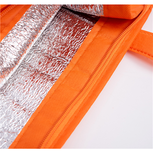 Stock NWPP Cooler Bag Zipped Top(SNB-22D)