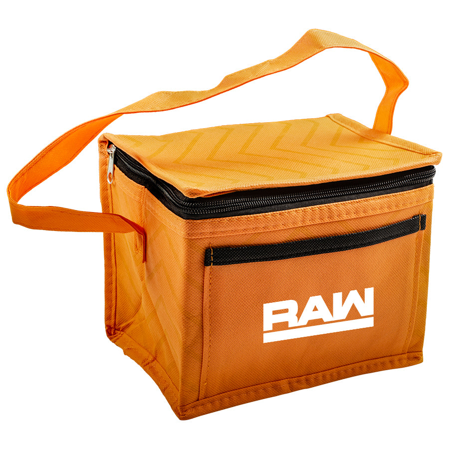 Stock NWPP Cooler Bag-Small(SNB-116H)