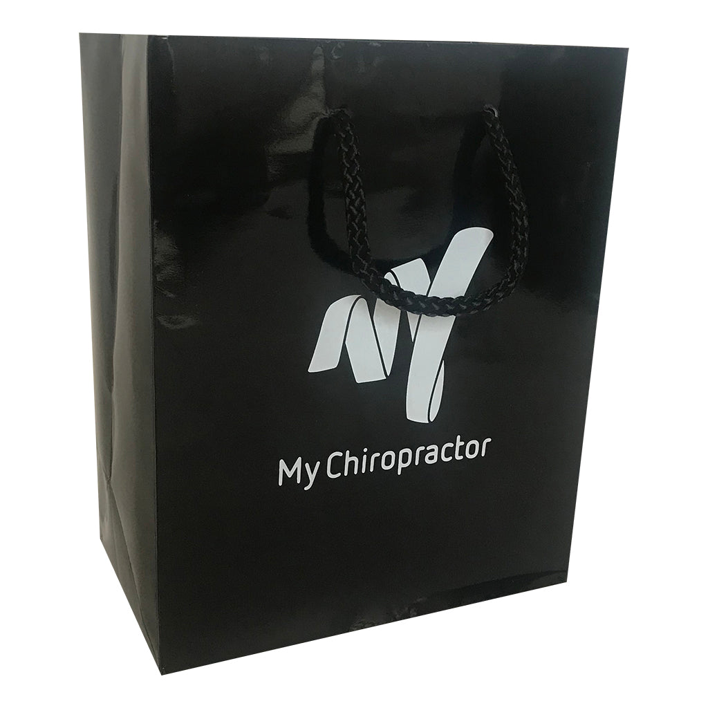 Stock Laminated Paper Carry Bag-Medium(SLP-03T)