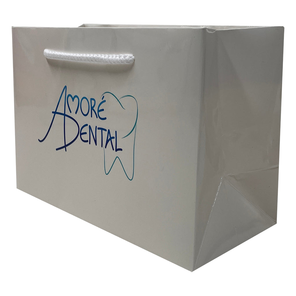 Paper Landscape Gift Bag-Small(LP-08)