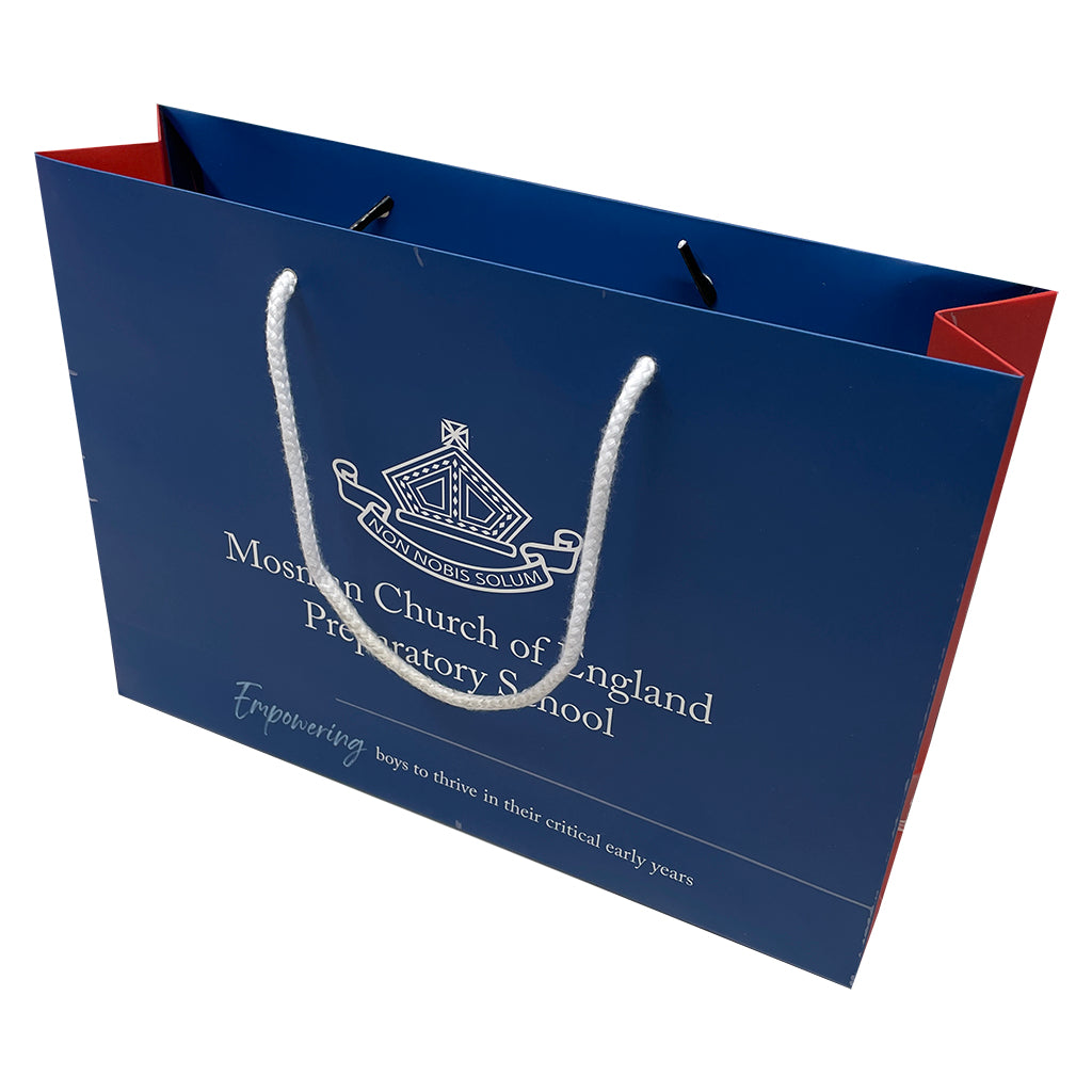 Paper Landscape Document Bag-Medium(LP-06)