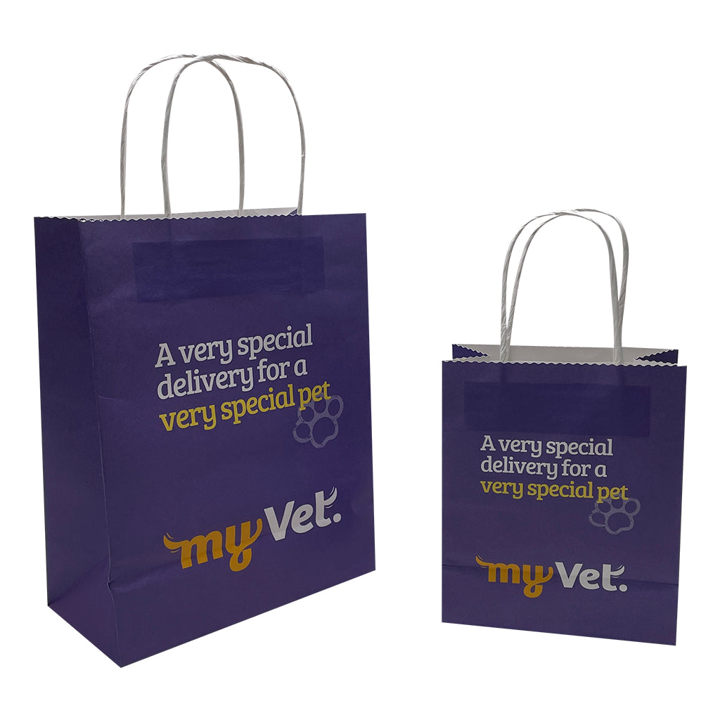 Kraft Paper Mini Bag-Coloured(KP-11)