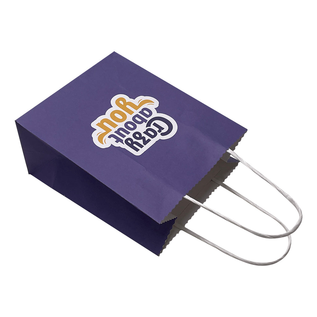 Kraft Paper Mini Bag-Coloured(KP-11)