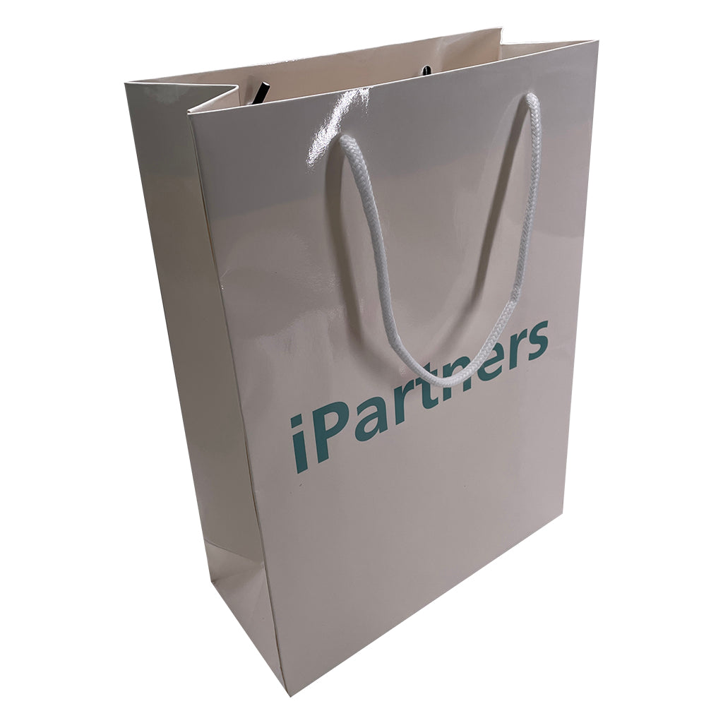 Paper Portrait Document Bag-Small(LP-05)