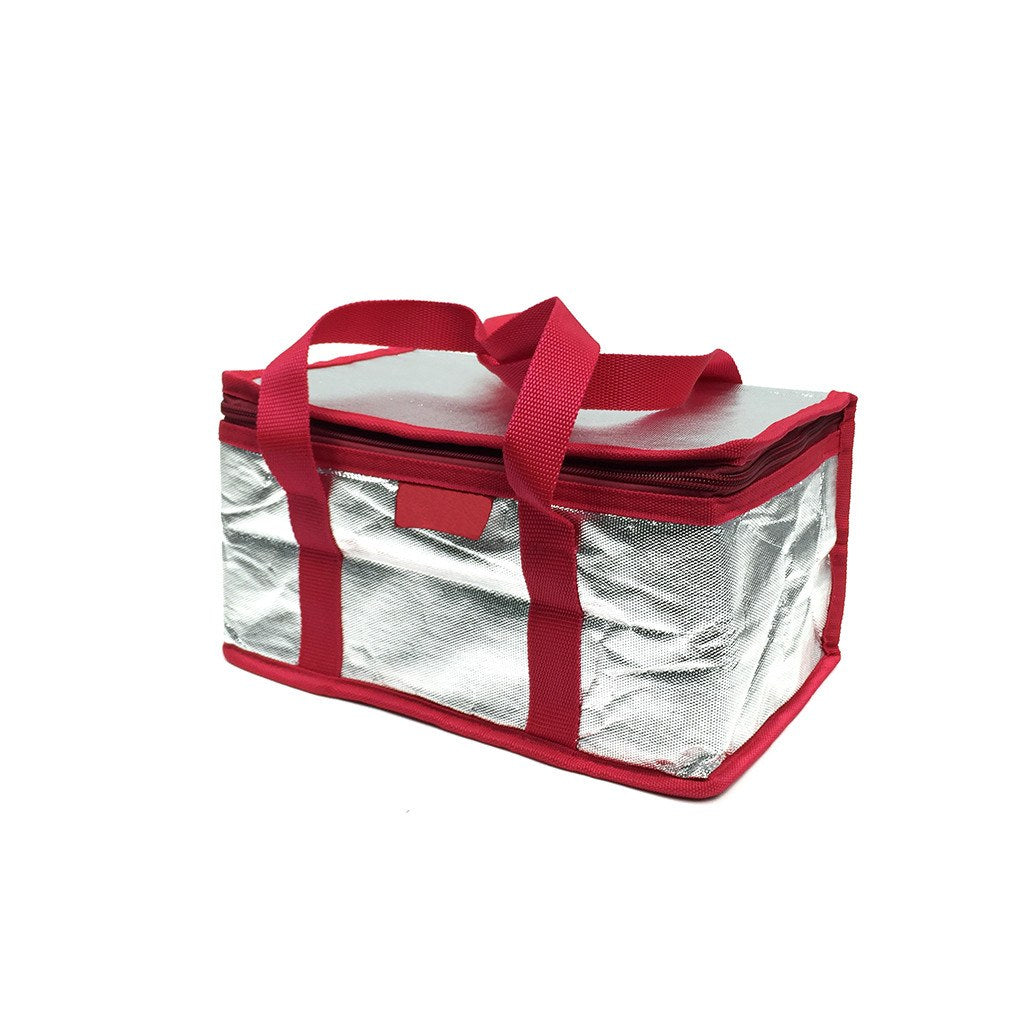 NWPP Landscape Cooler Bag(NW-6018) - greenpac.com.au