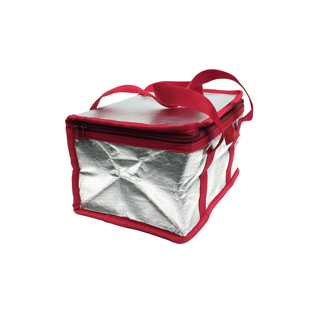 NWPP Landscape Cooler Bag(NW-6018) - greenpac.com.au