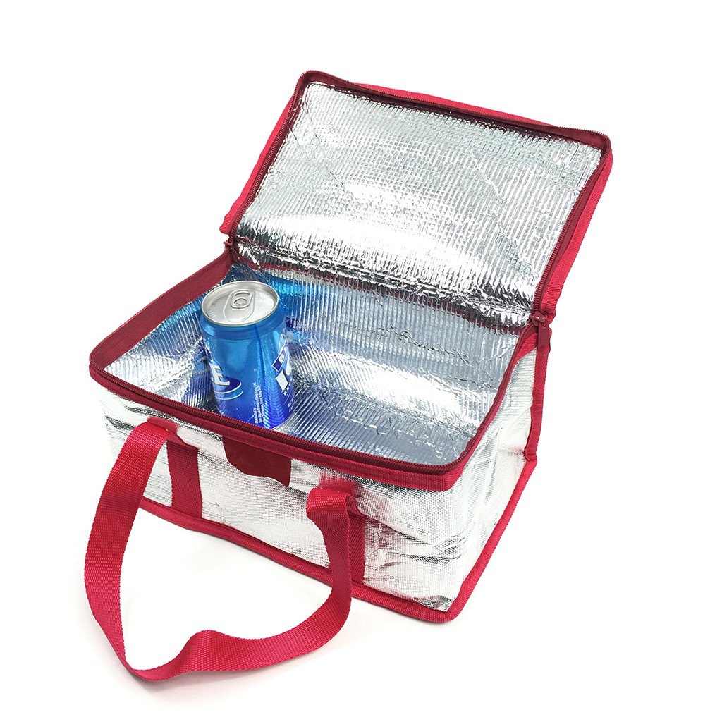 NWPP Landscape Cooler Bag(NW-6018) - greenpac.com.au