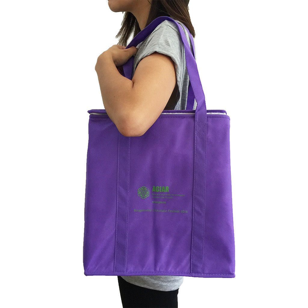 NWPP Large Cooler Bag(NW-6007) - greenpac.com.au
