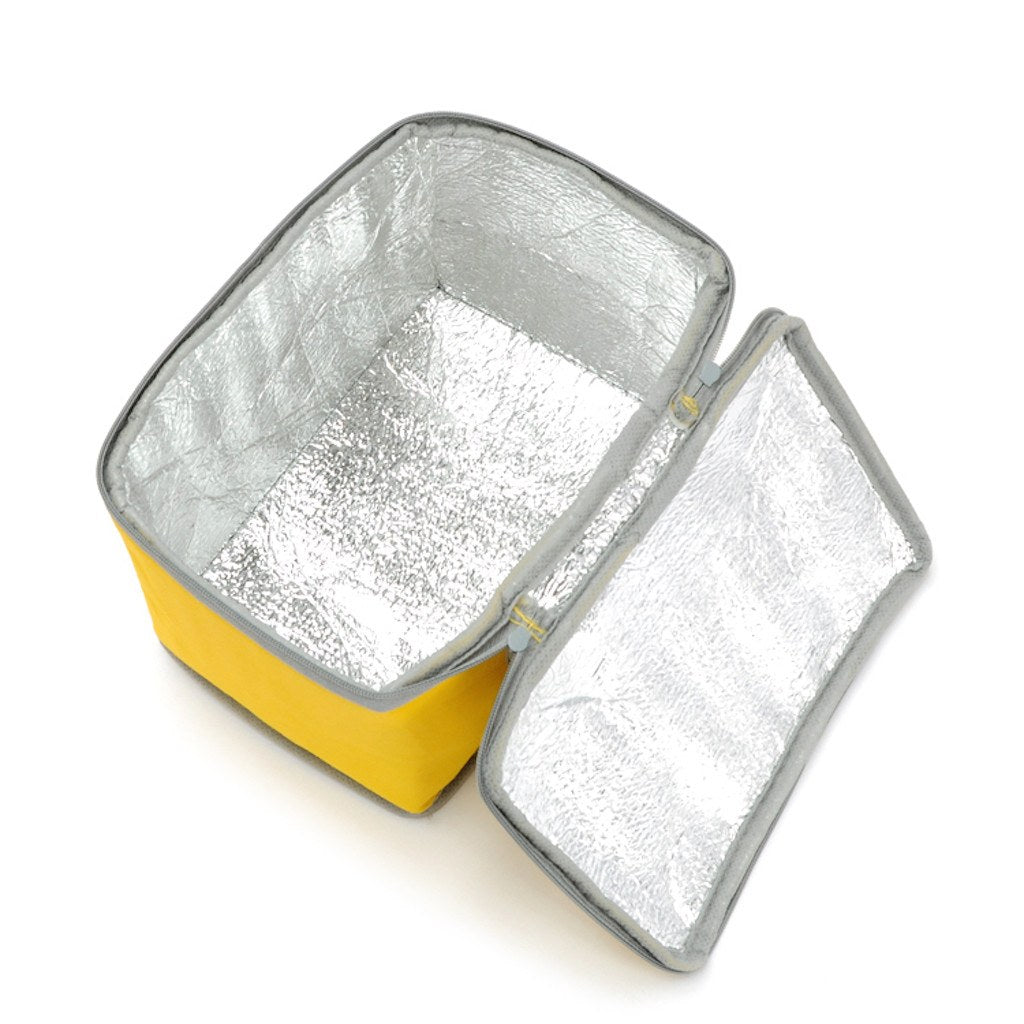 NWPP Lunch Cooler Bag(NW-6015) - greenpac.com.au