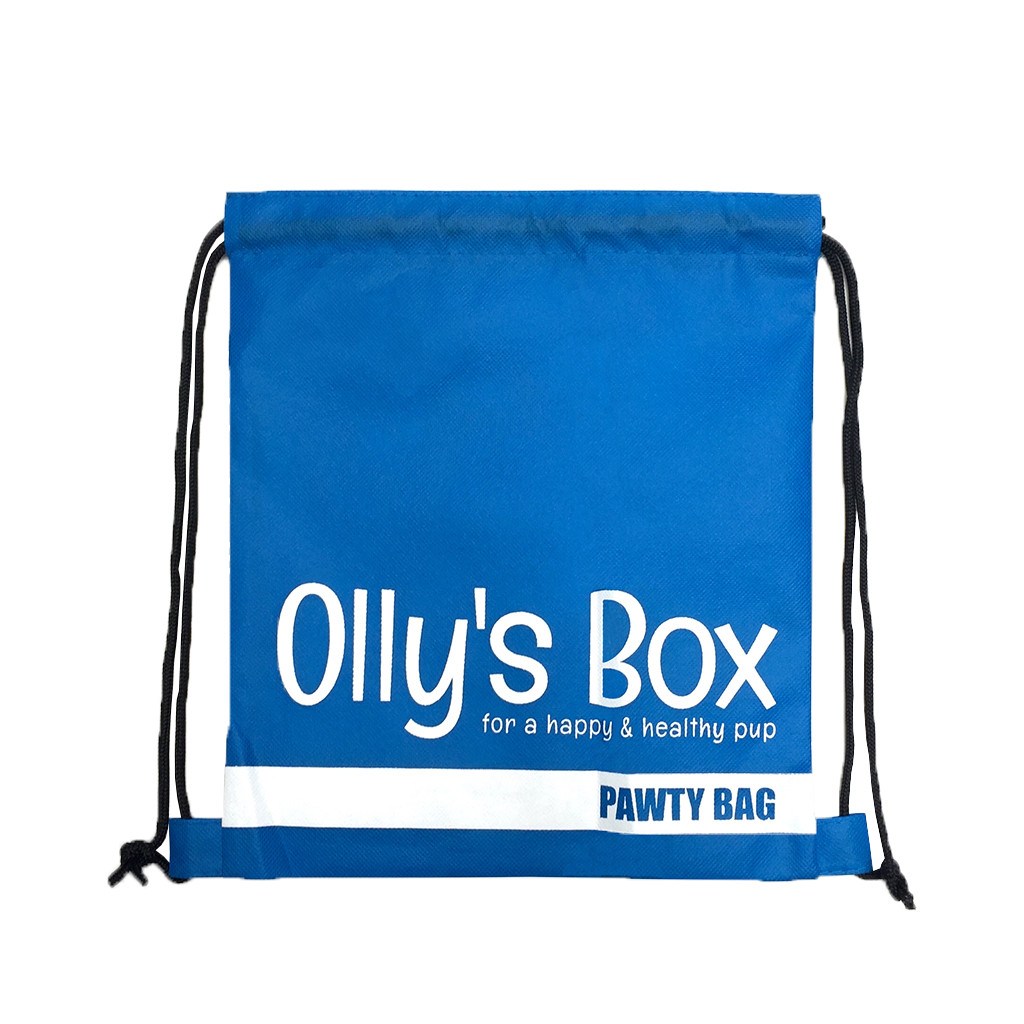 NWPP Mini Backpack Bag(NW-5003) - greenpac.com.au