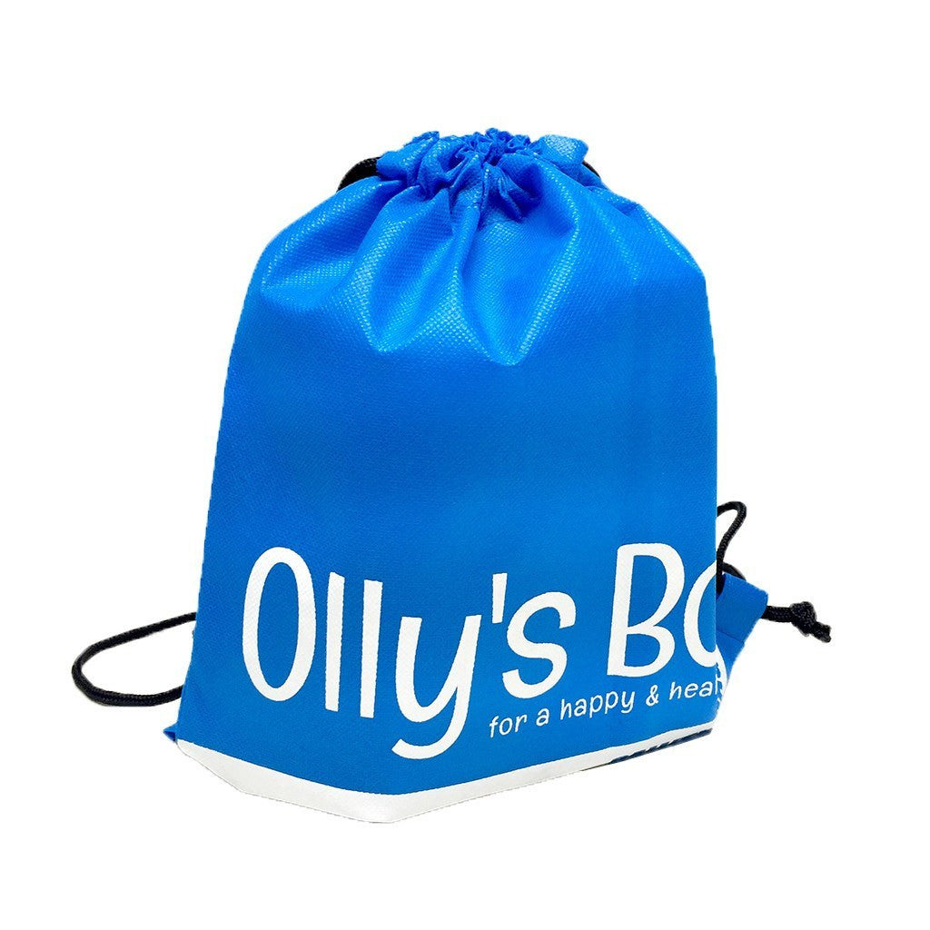 NWPP Mini Backpack Bag(NW-5003) - greenpac.com.au