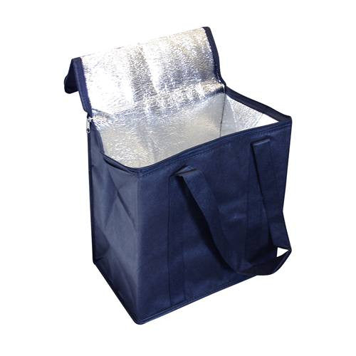 Stock NWPP Cooler Bag(SNB-21D) - greenpac.com.au