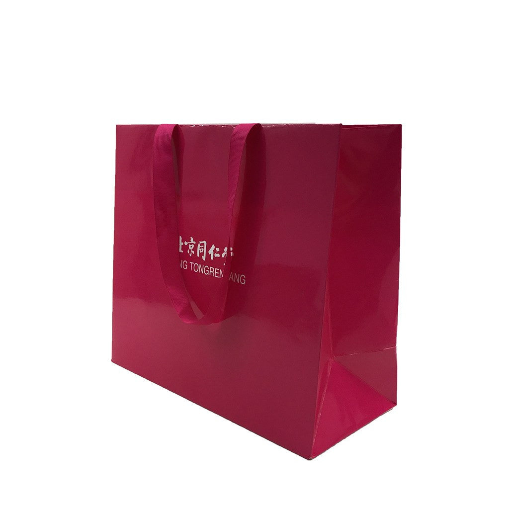 Paper Landscape Gift Bag-Medium(LP-07) - greenpac.com.au