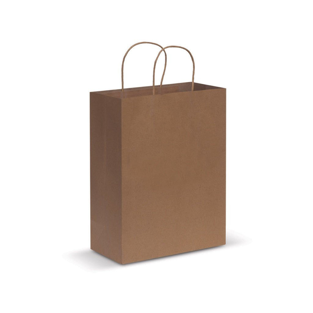 Stock Kraft Paper Carry Bag-Large(SLP-07T) - greenpac.com.au
