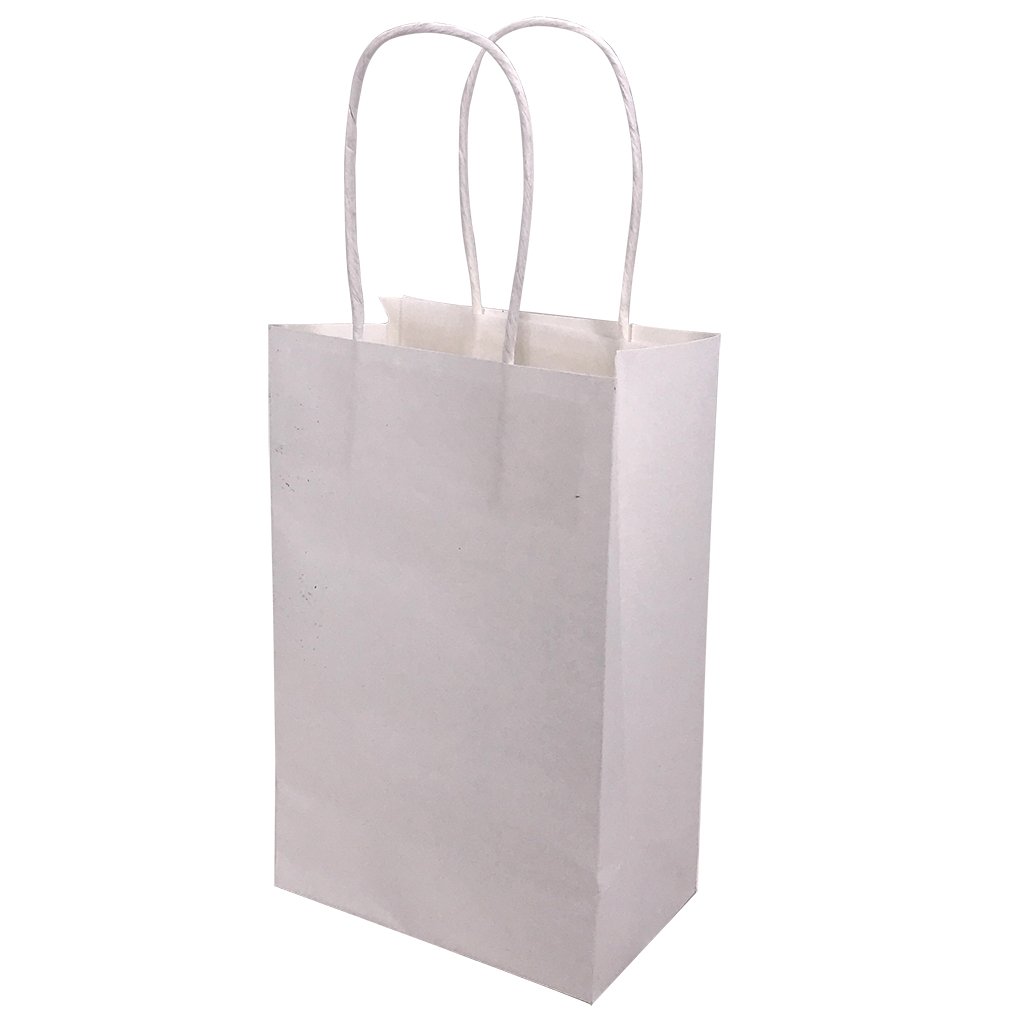 Stock Kraft Paper Carry Bag-Small(SLP-05T) - greenpac.com.au