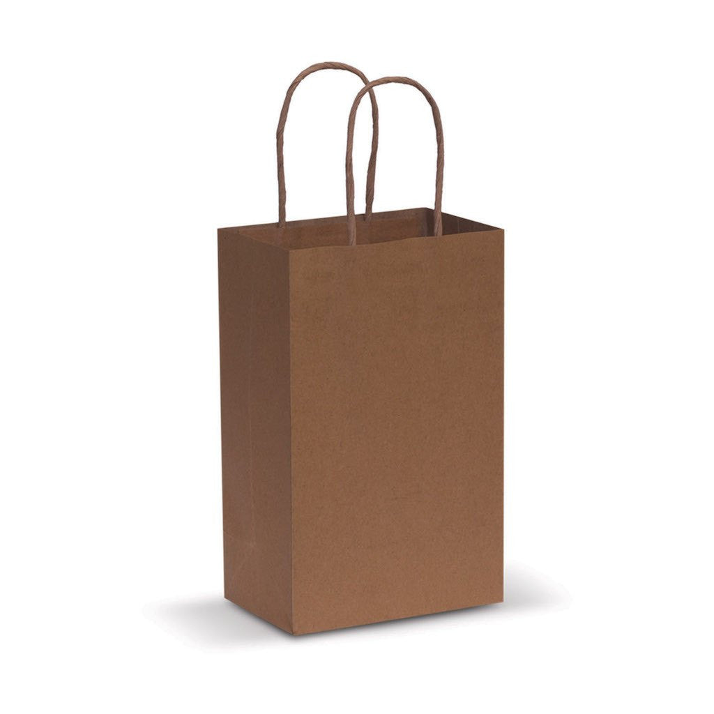 Stock Kraft Paper Carry Bag-Small(SLP-05T) - greenpac.com.au