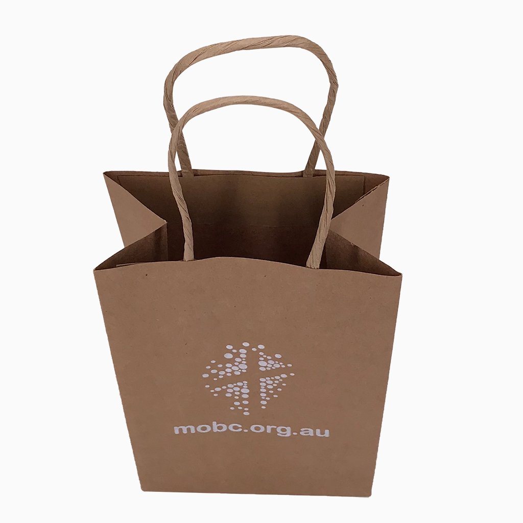 Stock Kraft Paper Carry Bag-Small(SLP-05T) - greenpac.com.au