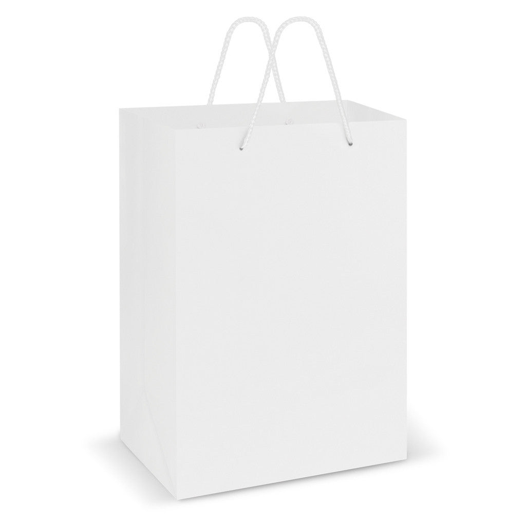 Stock Laminated Paper Carry Bag-Large(SLP-04T) - greenpac.com.au