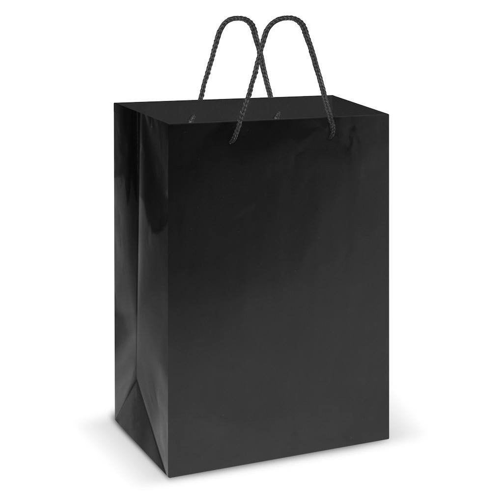Stock Laminated Paper Carry Bag-Large(SLP-04T) - greenpac.com.au