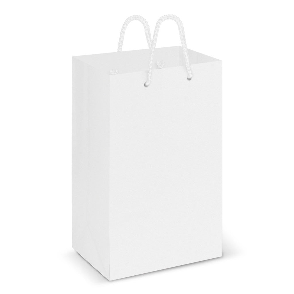 Stock Laminated Paper Carry Bag-Small(SLP-02T) - greenpac.com.au