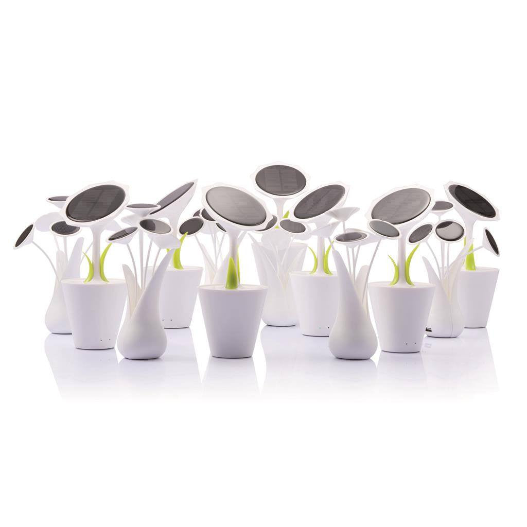 Solar Sunflower(STP-38) - greenpac.com.au